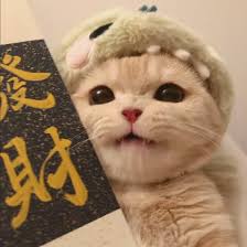 Ảnh đại diện Phương Linh